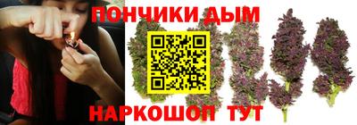 твердый Гай