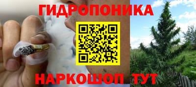 твердый Гай