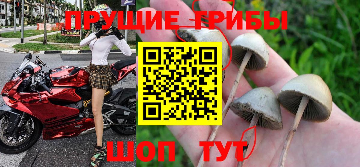 Нижний Новгород  Псилоцибиновые грибы прущие грибы  Вход с VPN  закладка  Галлюциногенные грибы Magic Shrooms 
